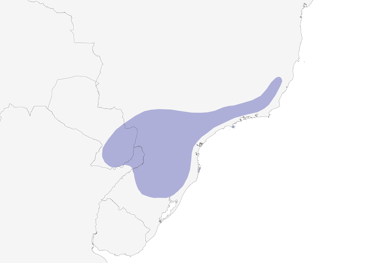 Vireo corona rossiccia, Distribuzione 1