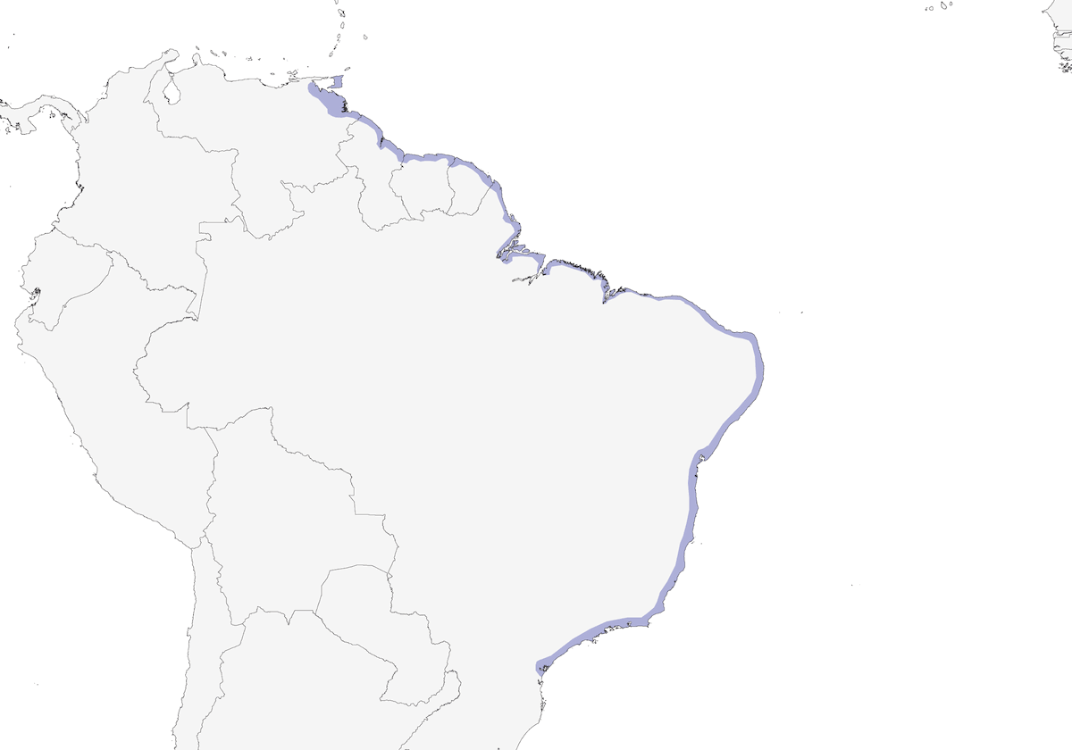 Poiana granchiaia rossiccia, Distribuzione 1