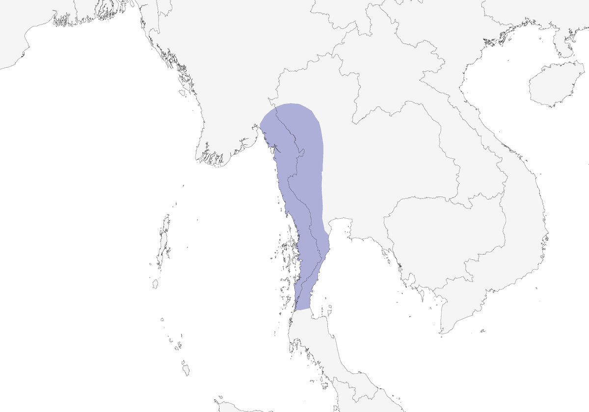 Calao de Tickell, Distribution 1