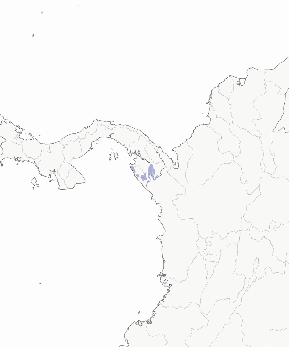 Colibrí del Pirre, Distribución 1
