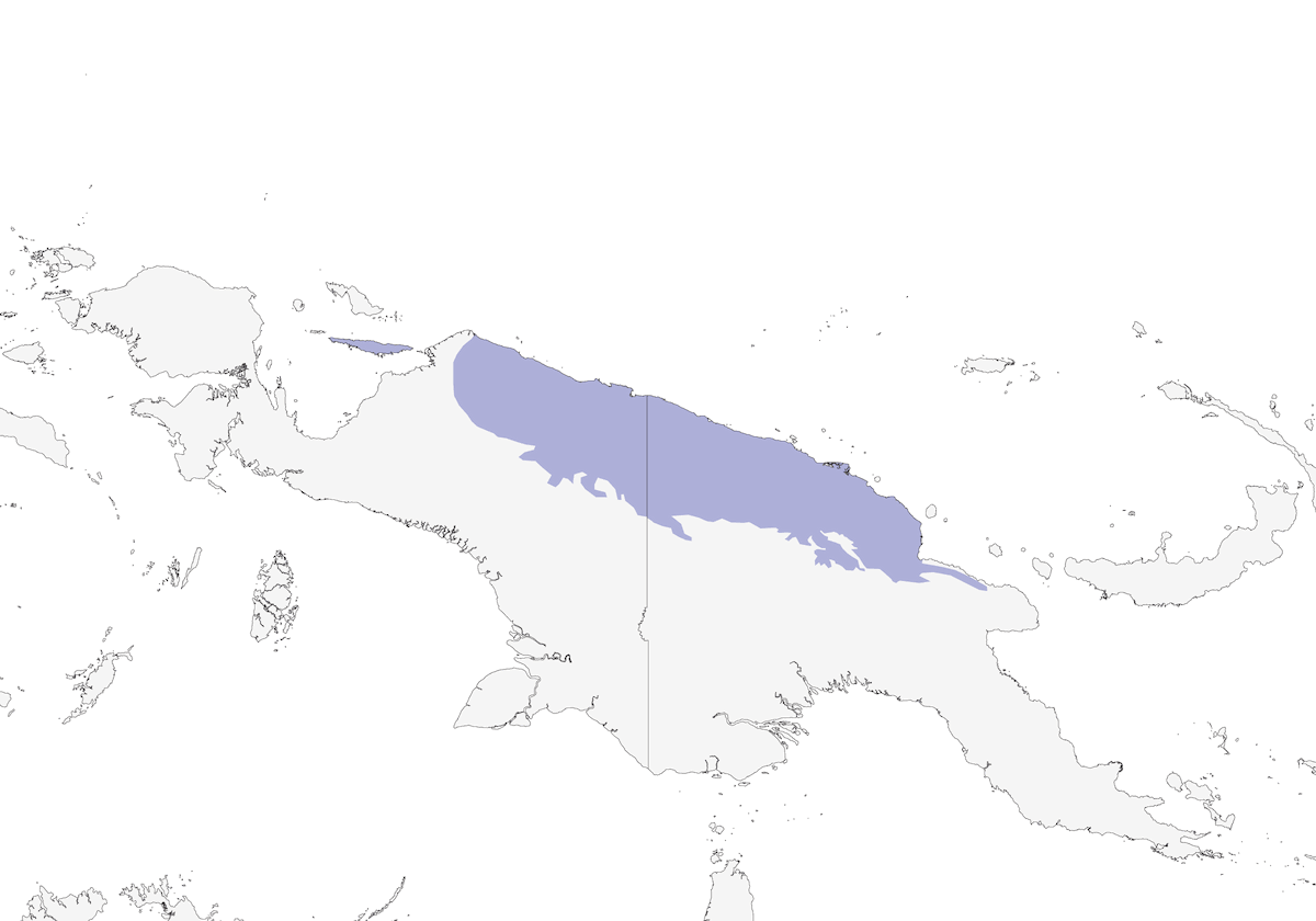 Monarca collare ocra, Distribuzione 1
