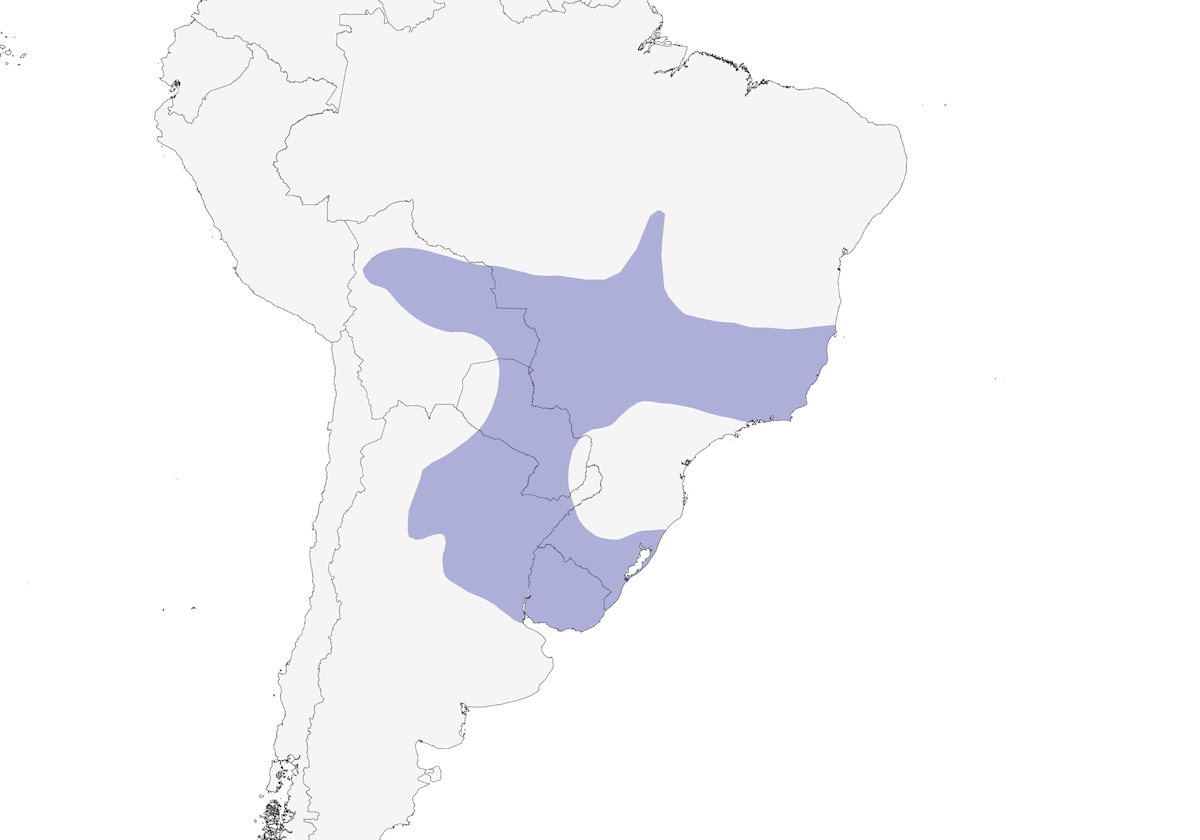 Rusty-collared Seedeater, Distribution 1