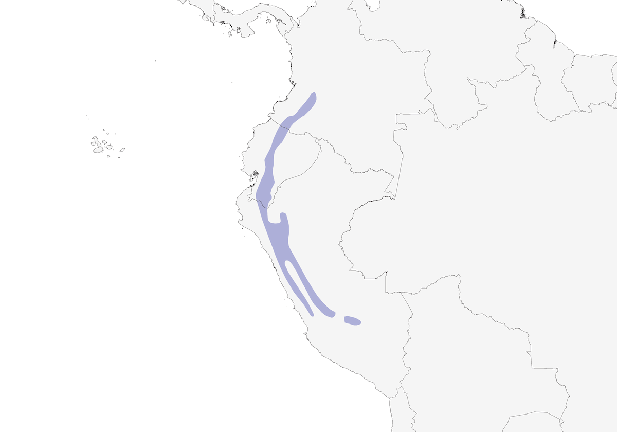 Tangara dal petto rossiccio, Distribuzione 1
