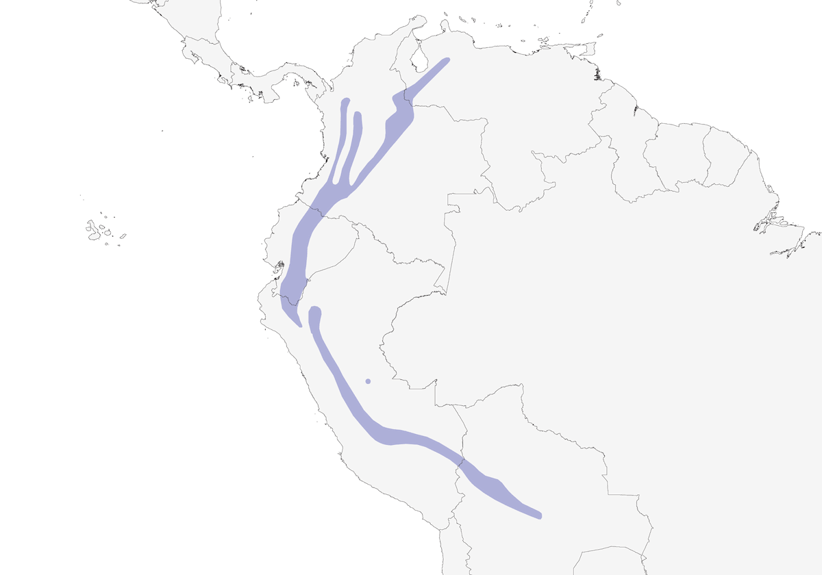 Russet-crowned Warbler, Distribution 1