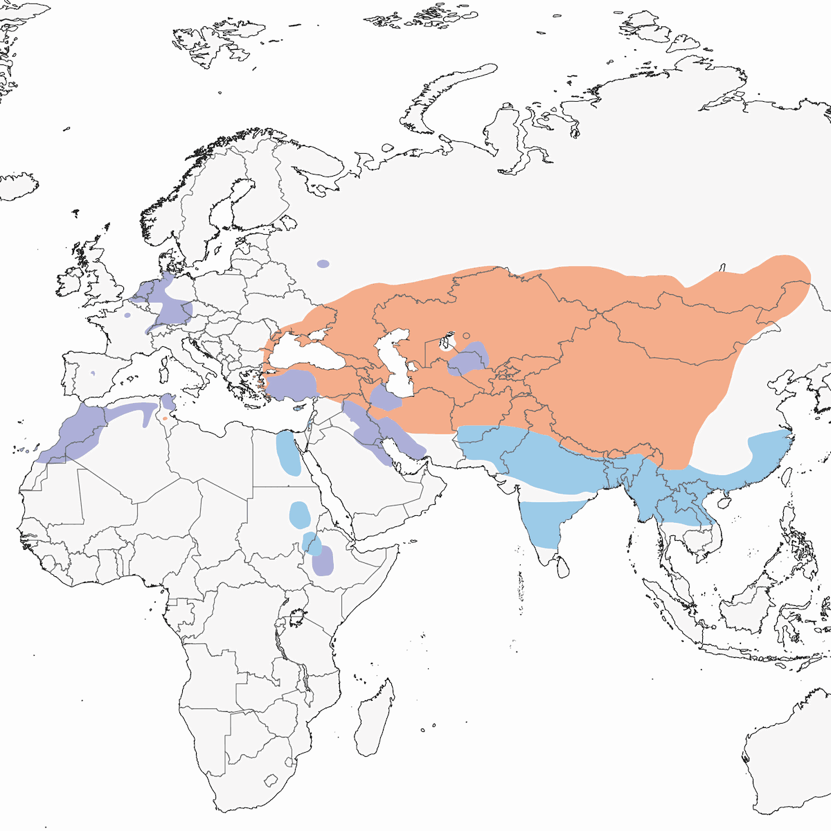 Tadorne casarca, Distribution 1