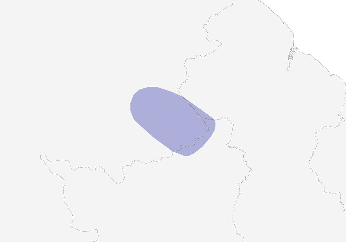 Todirostro rossiccio, Distribuzione 1