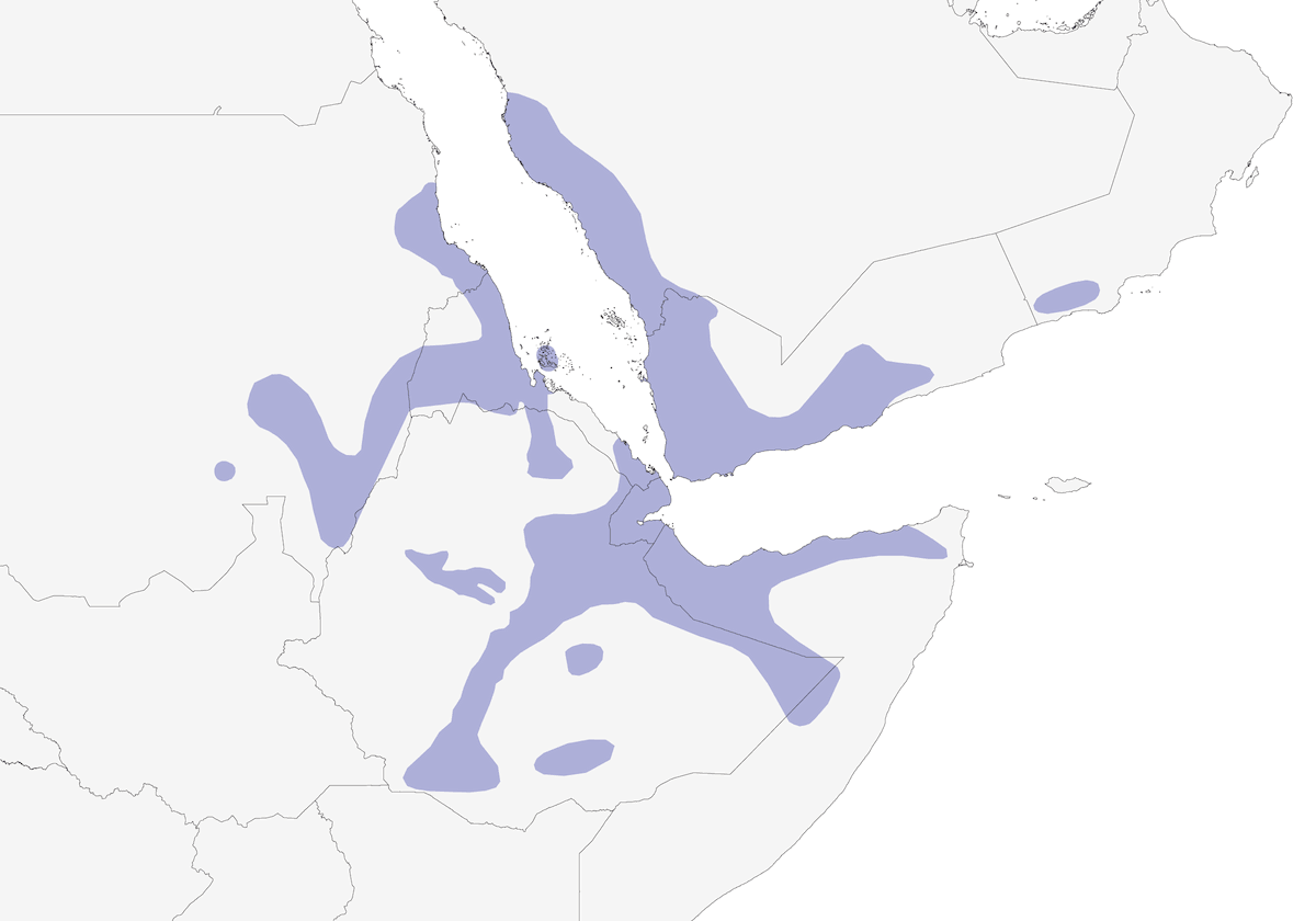 Tessitore di Rüppell, Distribuzione 1