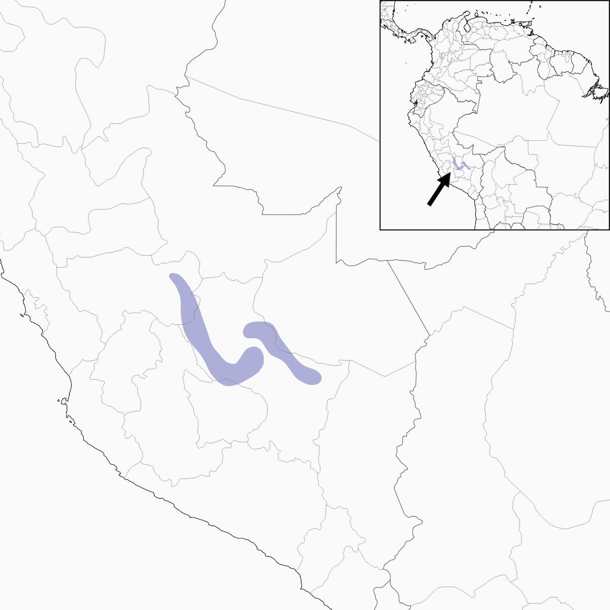 Urubamba-Ameisenpitta, Verbreitung 1