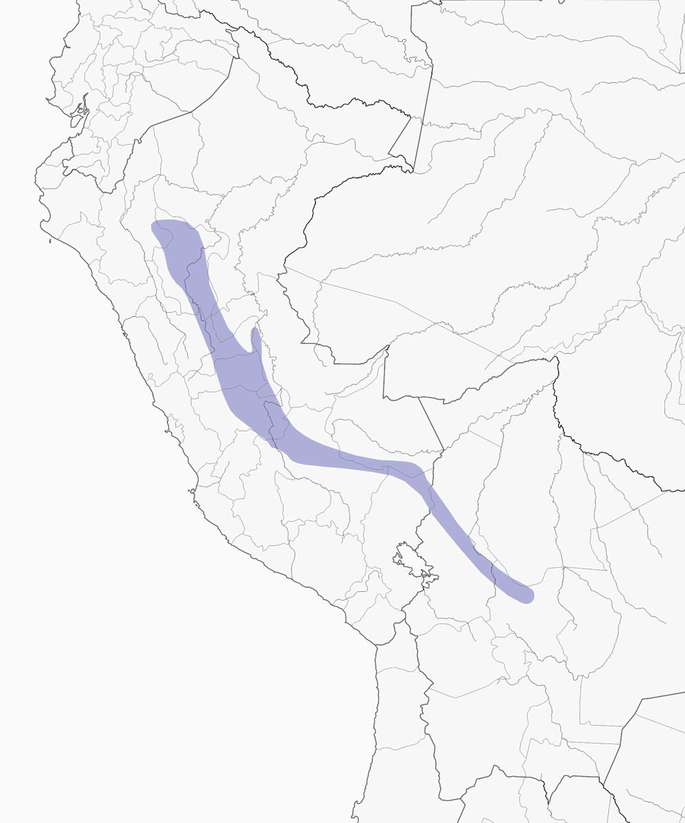 Batará rufescente, Distribución 1
