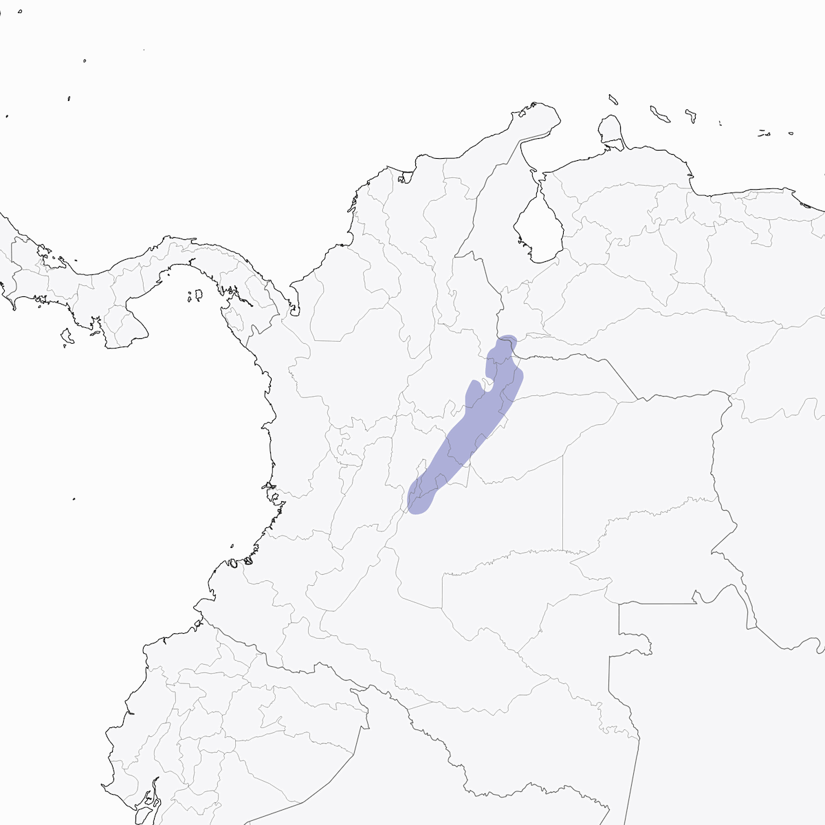 Muisca Antpitta, Distribution 1