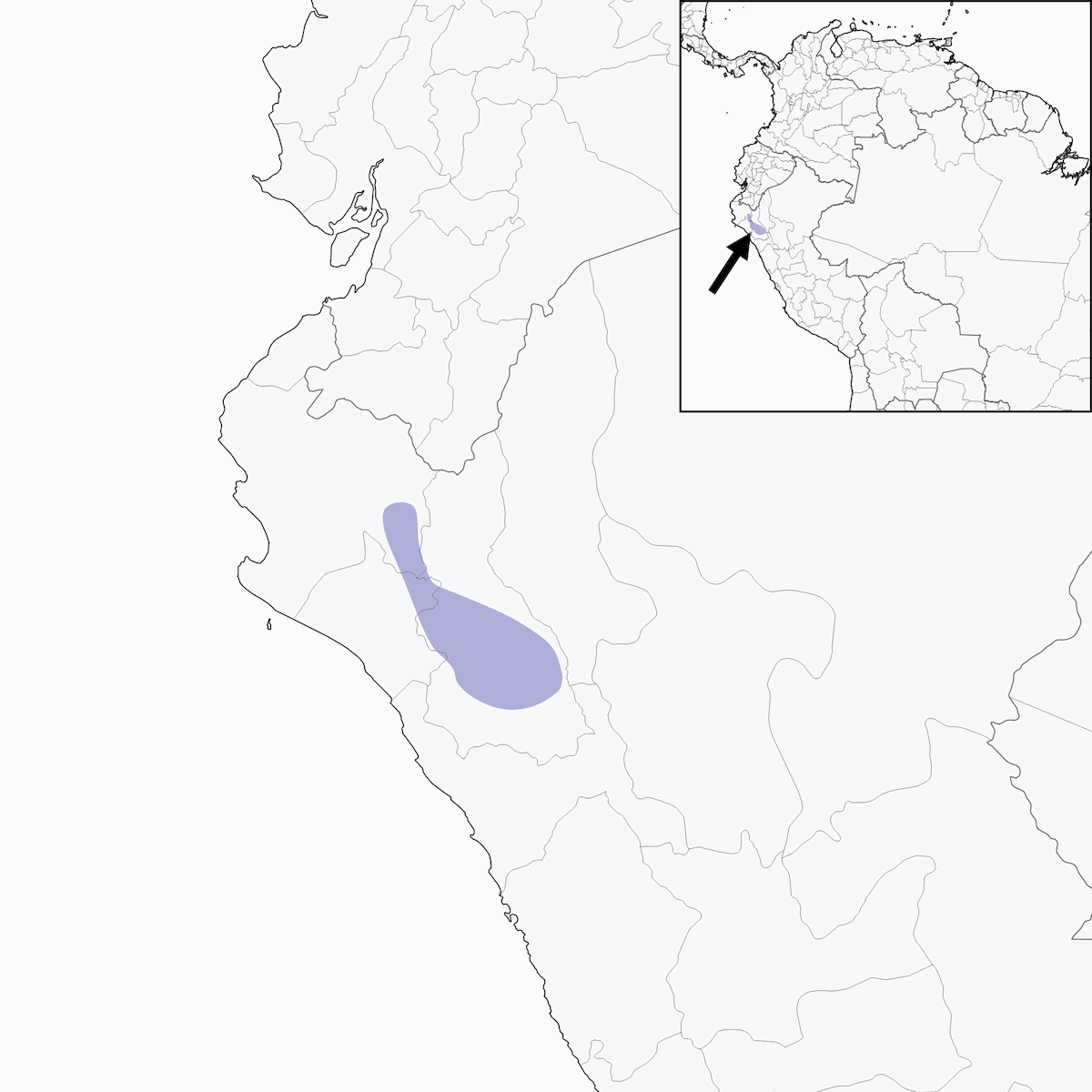 Grallaire de Cajamarca, Distribution 1
