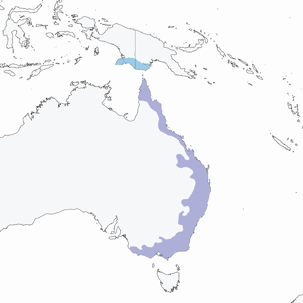 Australian Rufous Fantail, Distribution 1