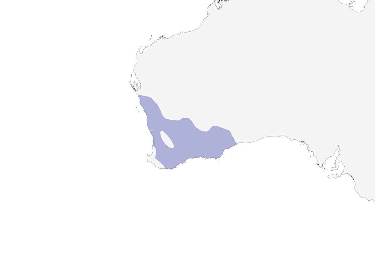 Maluro campestre occidental, Distribución 1