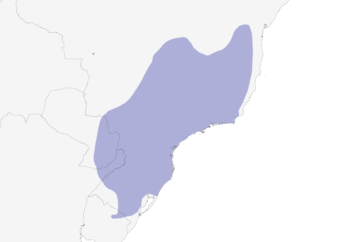 Rufous Gnateater, Distribution 1