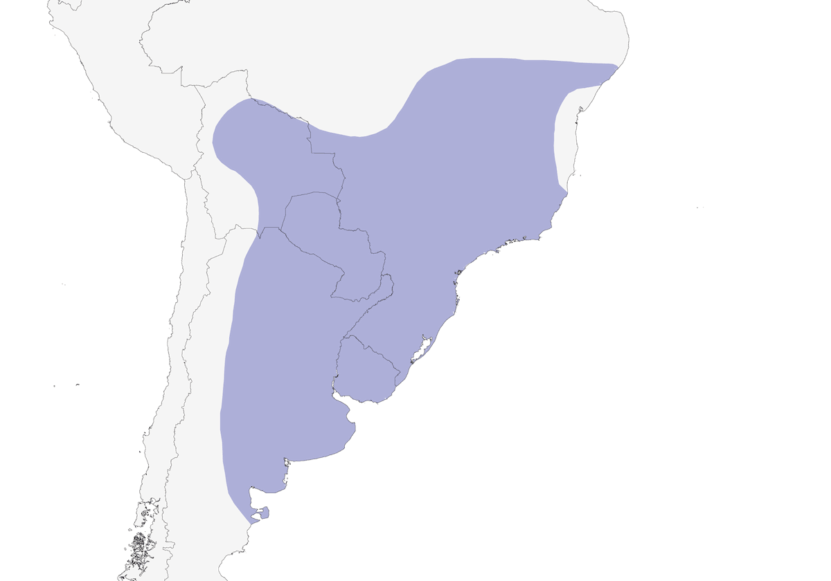 Rufous Hornero, Distribution 1