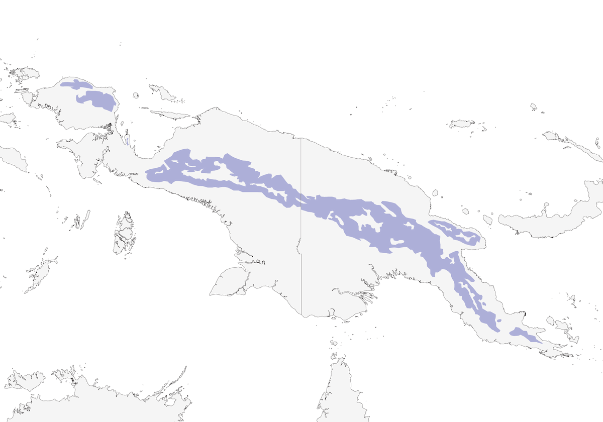 Colomba imperiale rossiccia, Distribuzione 1