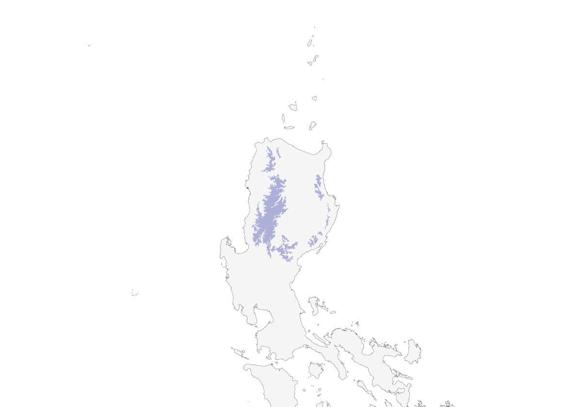 Rusty-flanked Jungle Flycatcher, Distribution 1