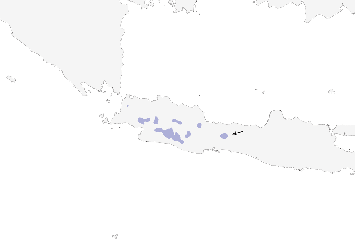 Rufous-fronted Laughingthrush, Distribution 1
