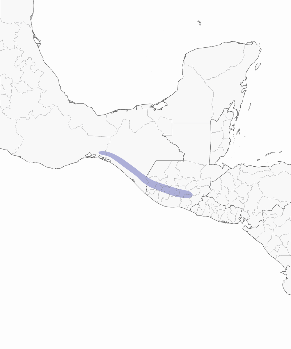 Rufous Sabrewing, Distribution 1