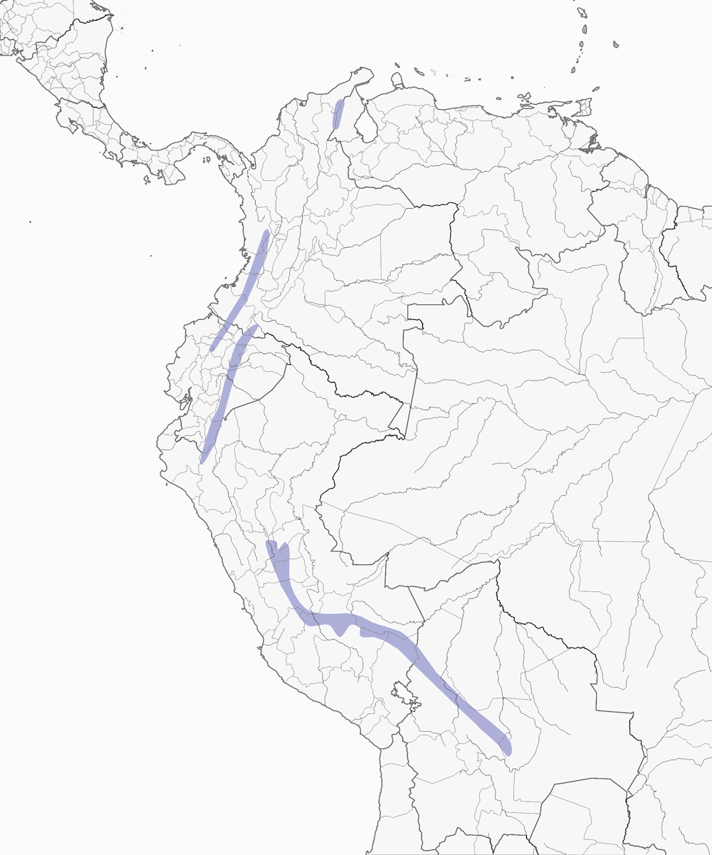 Assiolo rossiccio, Distribuzione 1