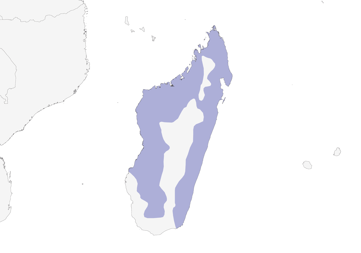 Vanga rossiccia, Distribuzione 1