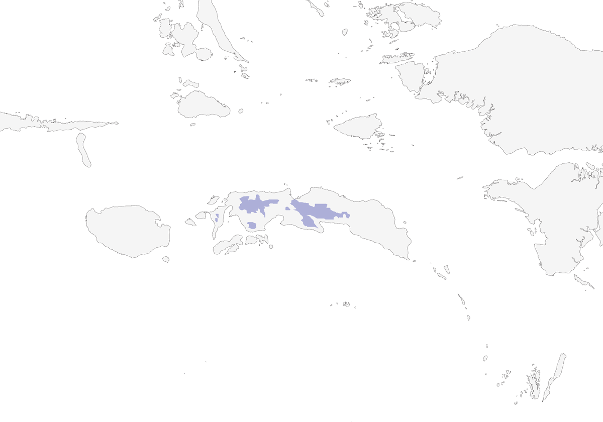 Anteojitos de flancos rojizos, Distribución 1
