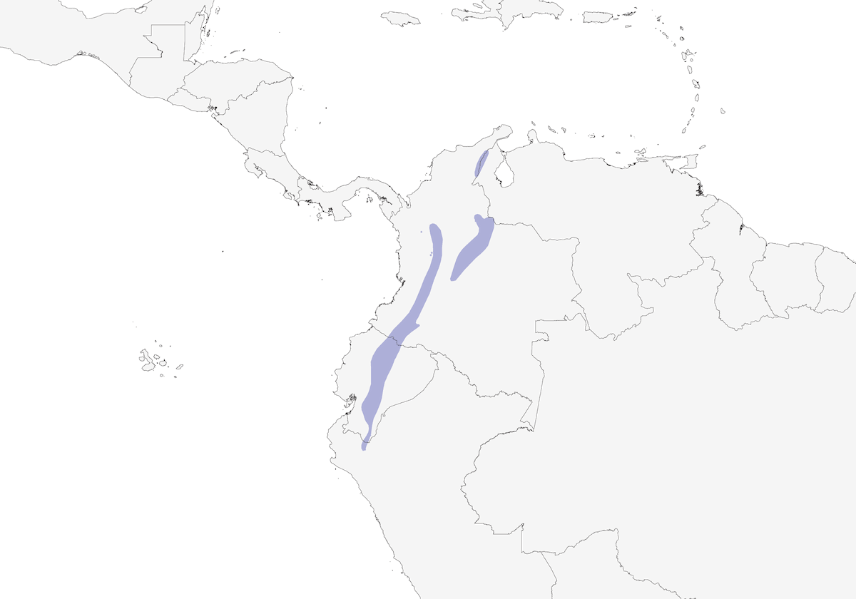 Scricciolo rossiccio, Distribuzione 1