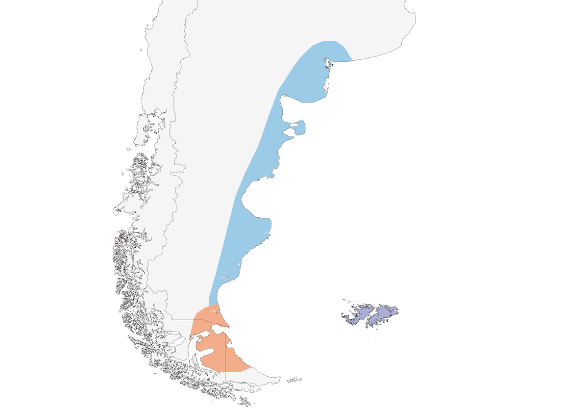 Oca testarossiccia, Distribuzione 1