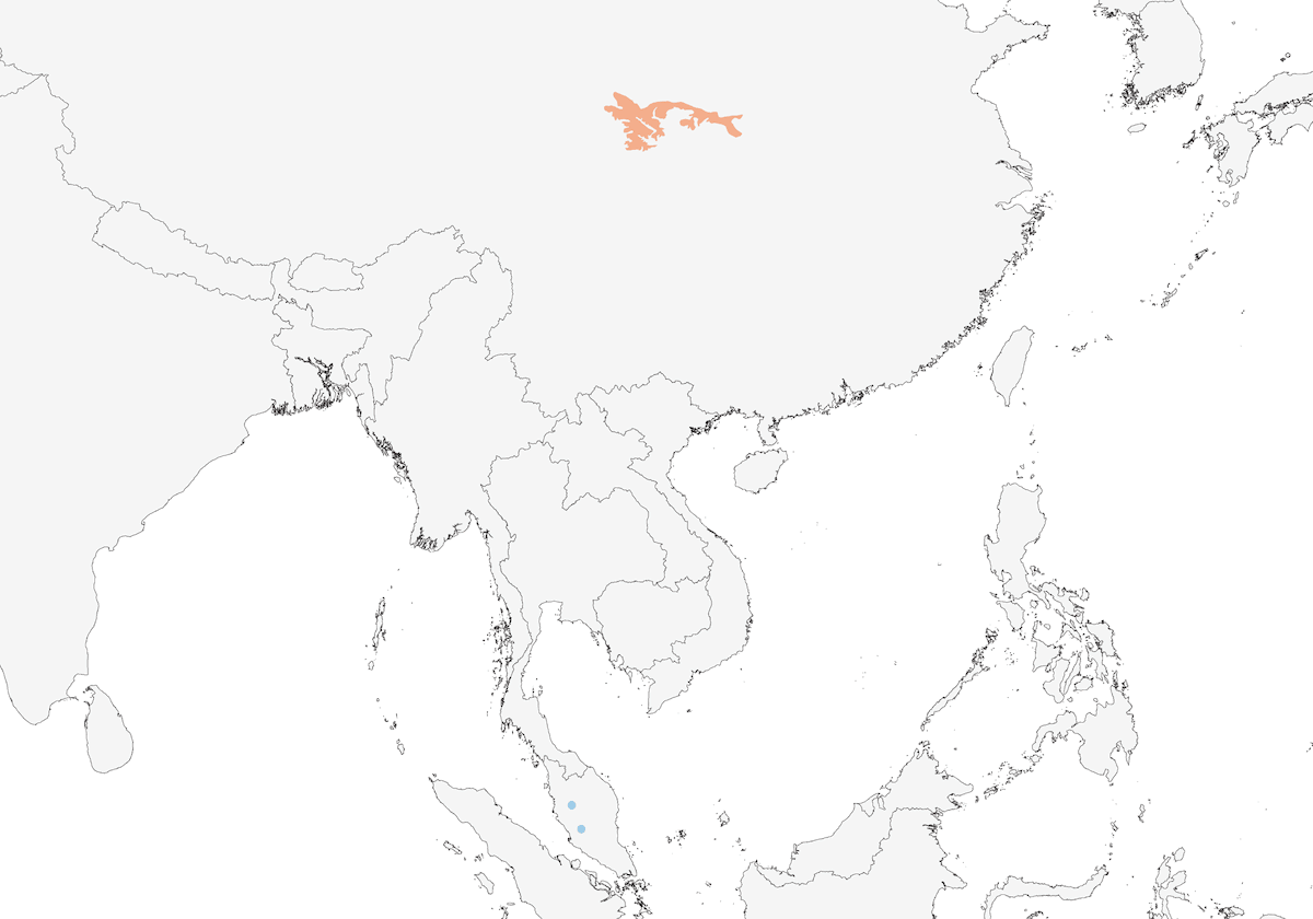 Rufous-headed Robin, Distribution 1