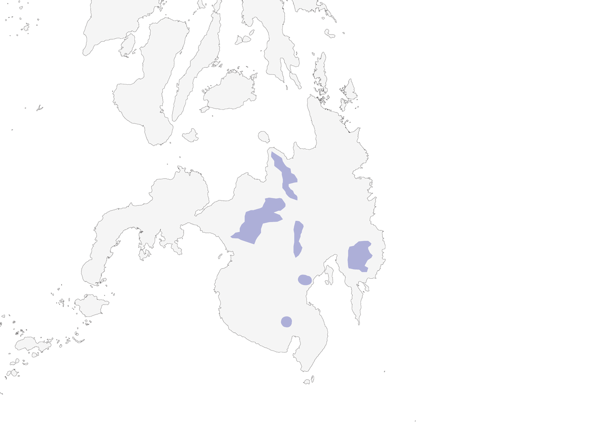Sastre Caperucirrufo, Distribución 1