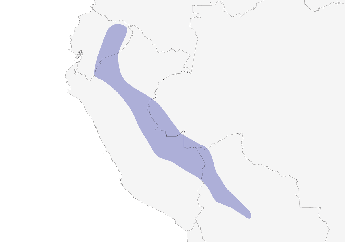 Rufous-headed Woodpecker, Distribution 1