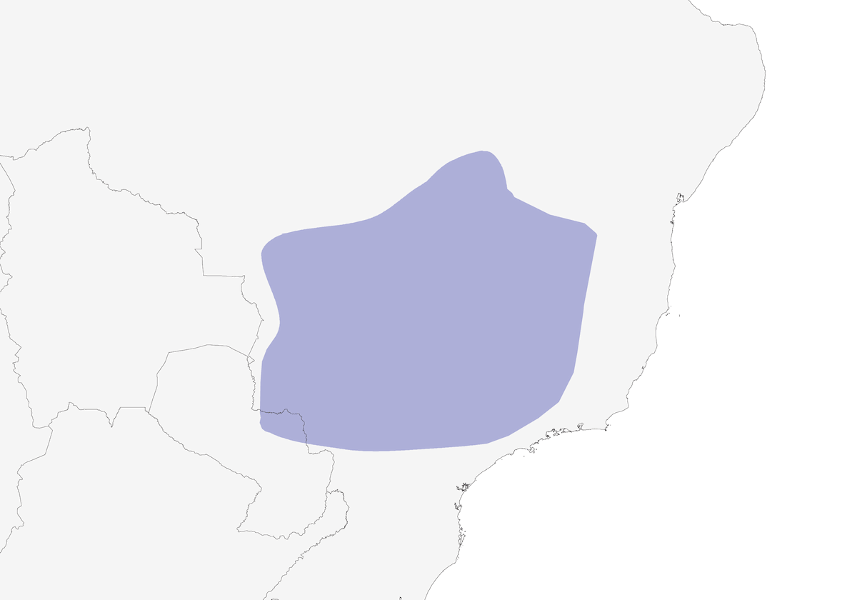 Anabacerzia mantofulvo, Distribuzione 1