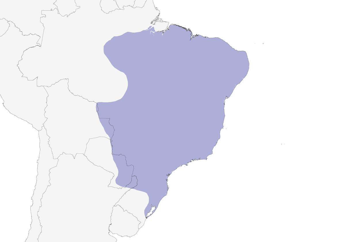 Rusty-margined Guan, Distribution 1
