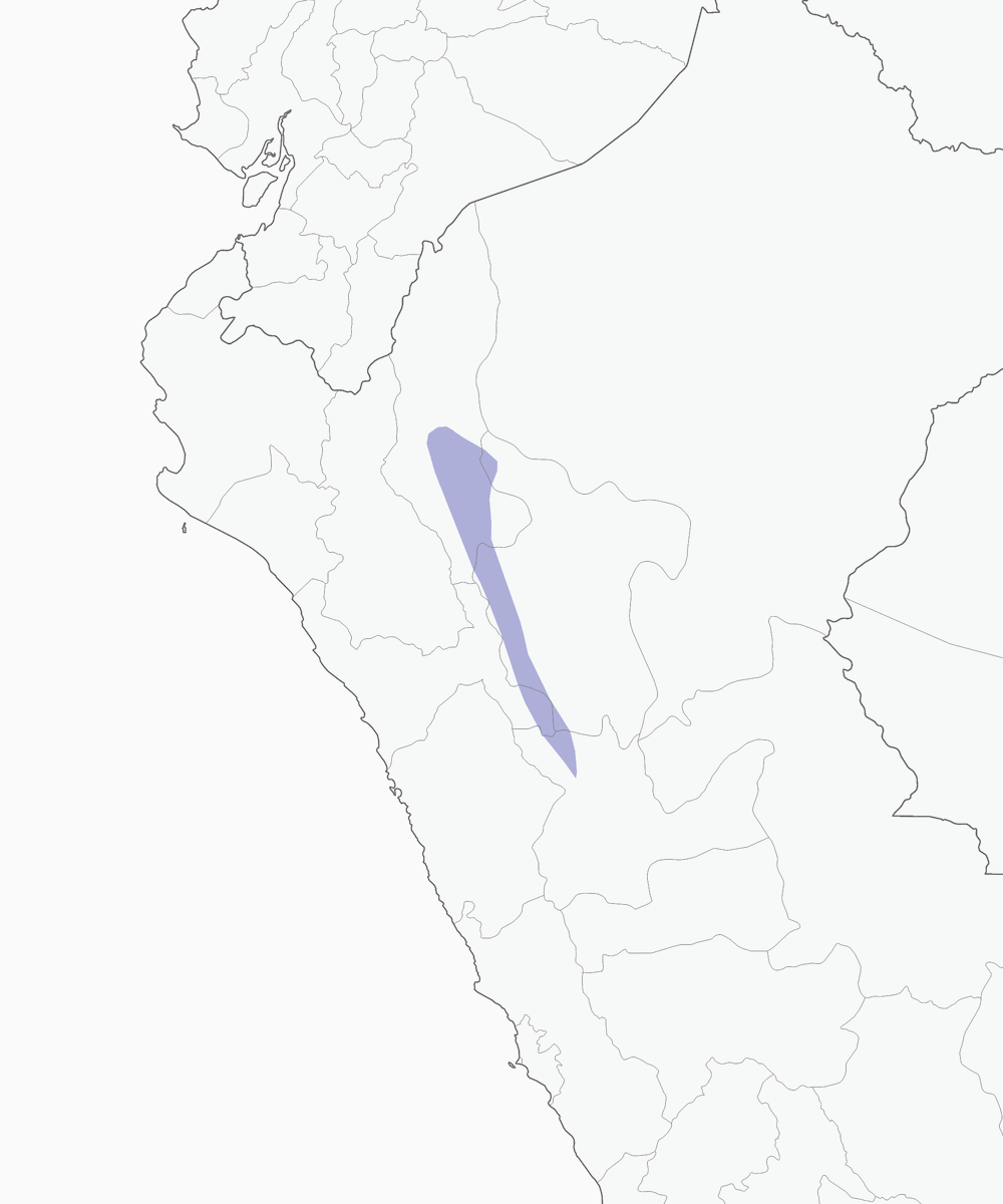 Russet-mantled Softtail, Distribution 1