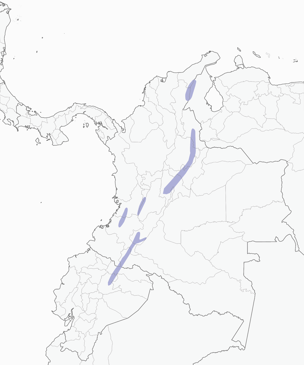 Vireíllo nuquirrufo, Distribución 1
