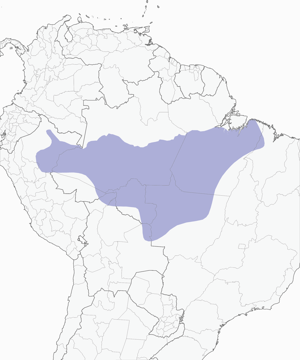 Rufous-necked Puffbird, Distribution 1