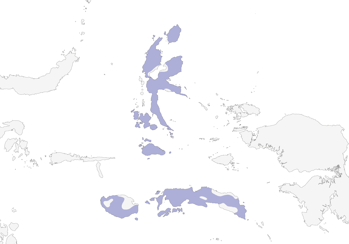 Rufous-necked Sparrowhawk, Distribution 1