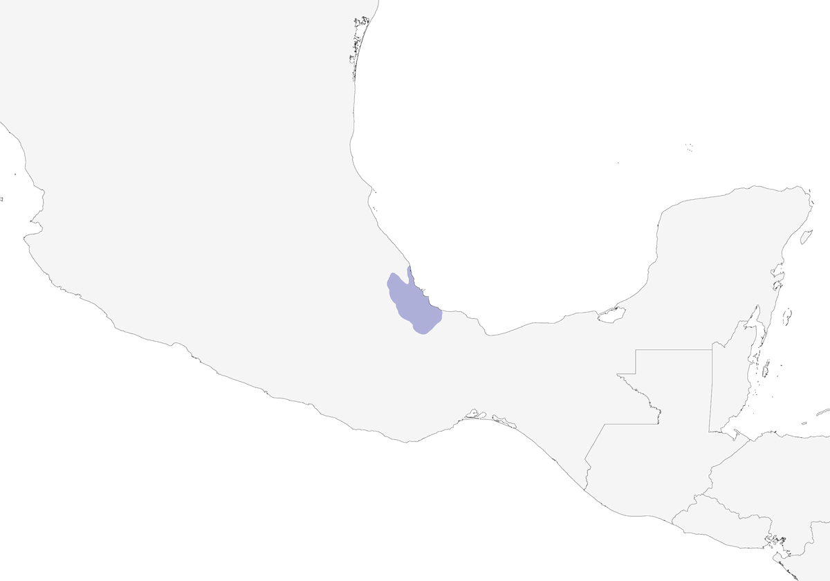 Veracruz Wren, Distribution 1