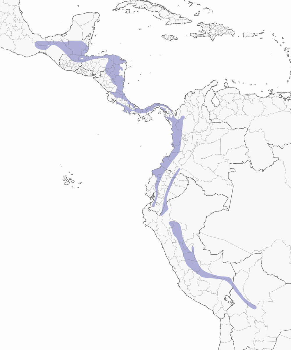 Averla formicaria rossiccia, Distribuzione 1