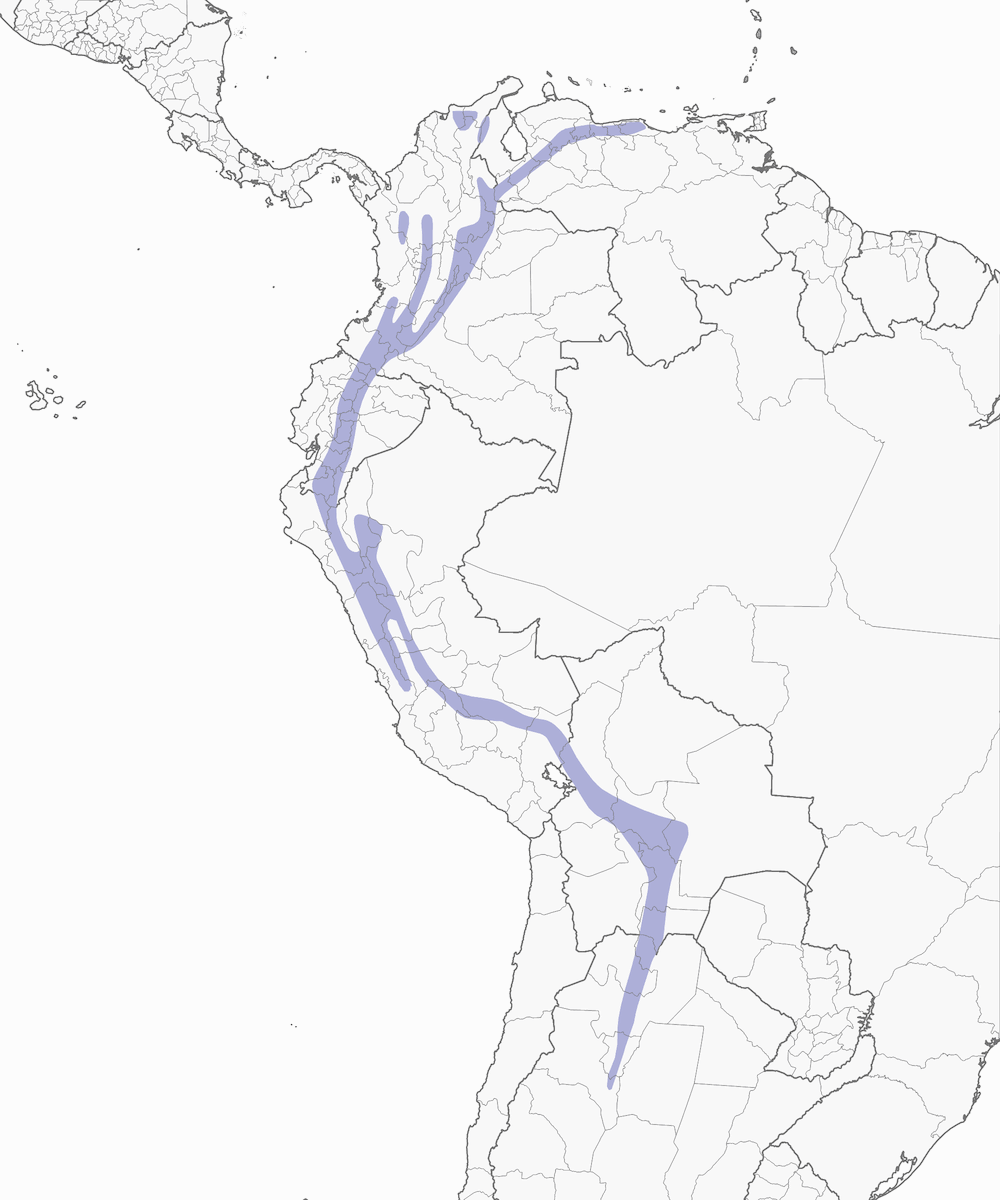 Diglossa Herrumbrosa, Distribución 1