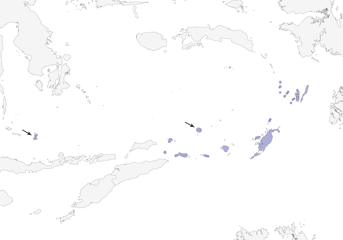 Gerigona de flancos rojizos, Distribución 1