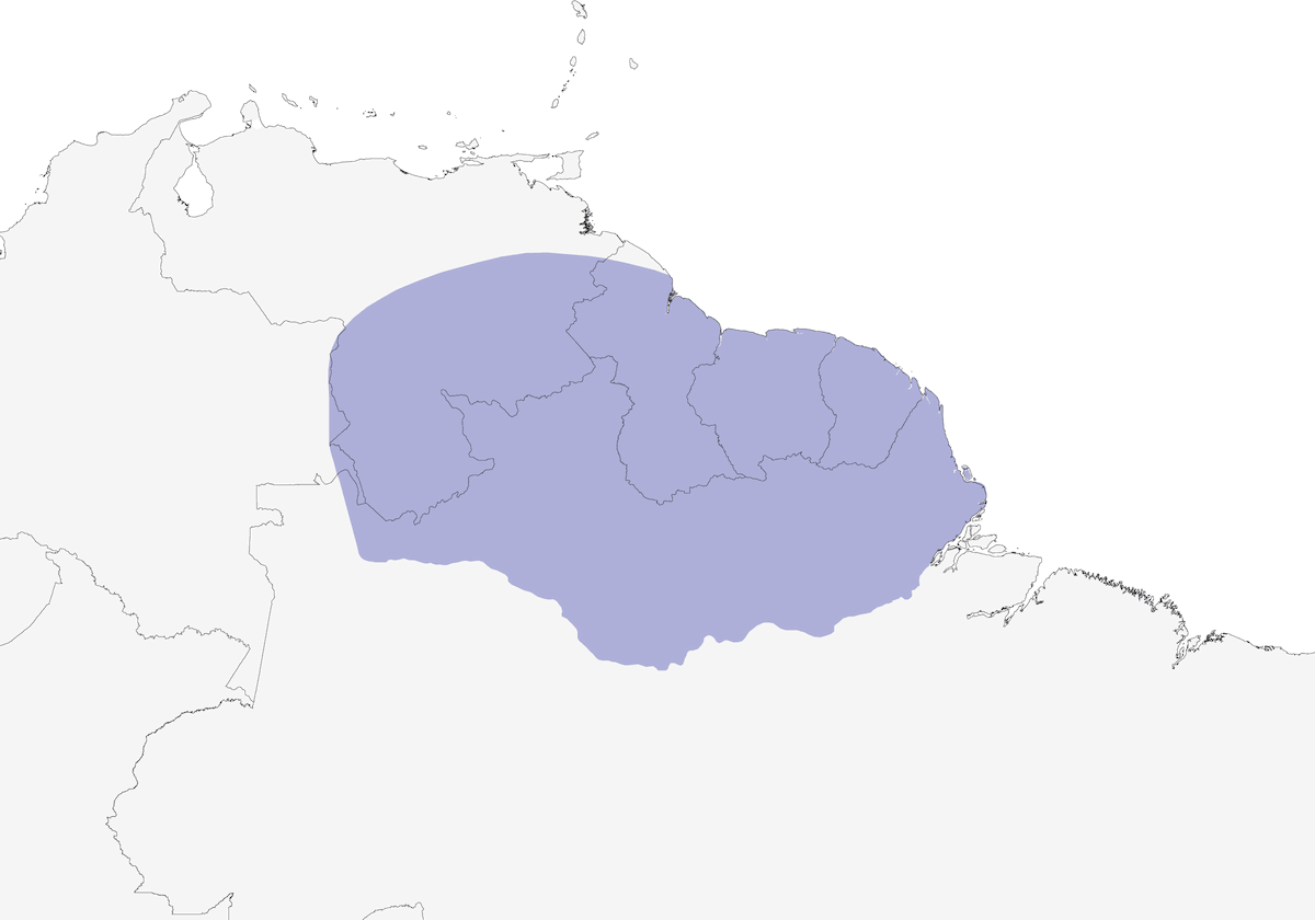 Formichiere dalla gola rossiccia, Distribuzione 1