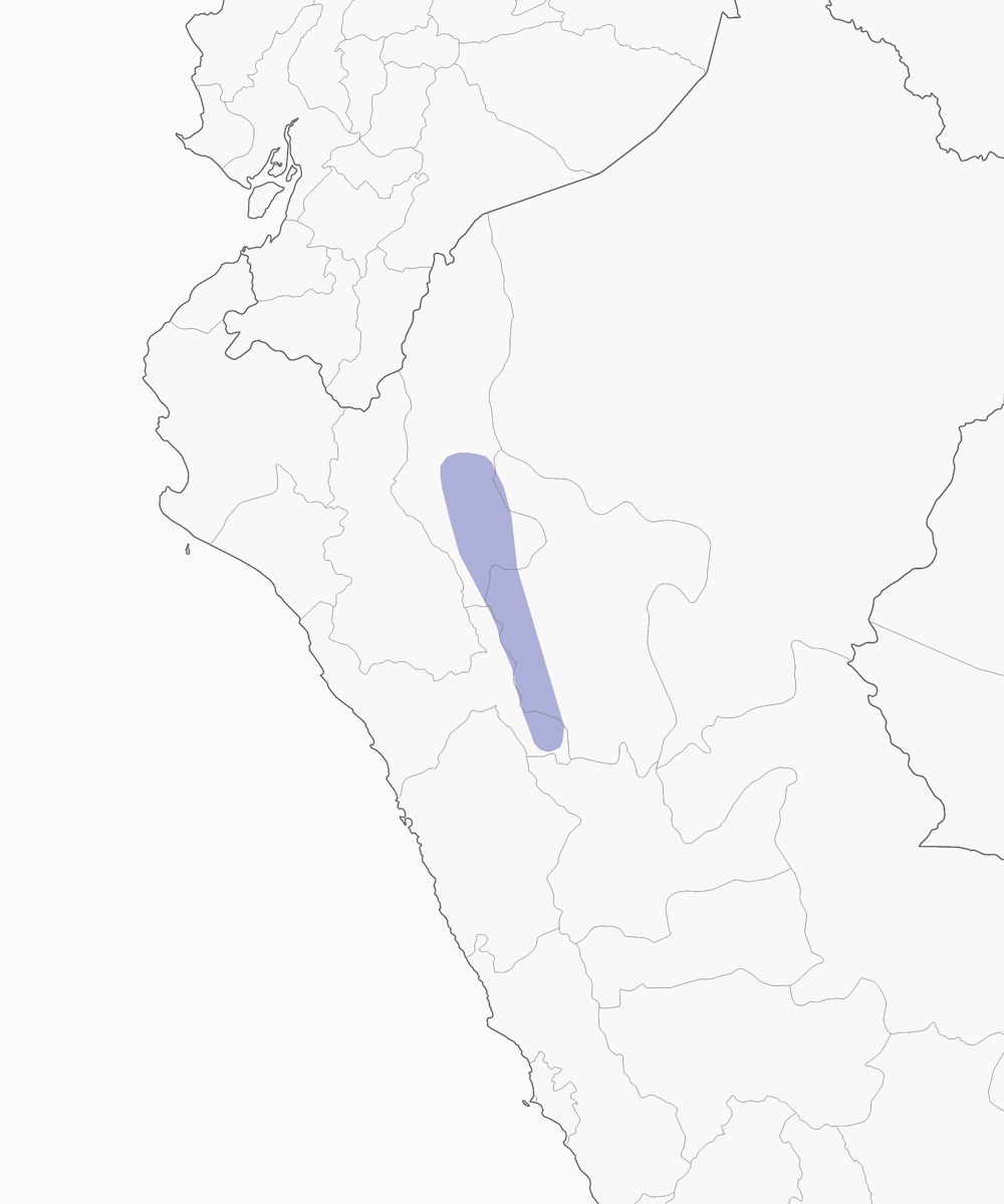 Tororoi Matizado, Distribución 1