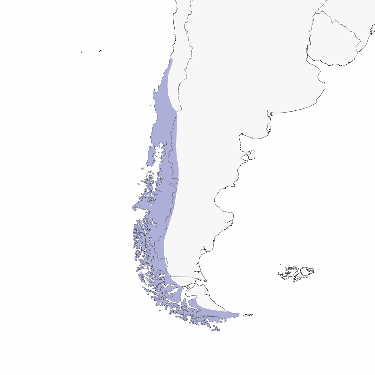 Halcón Colirrufo, Distribución 1