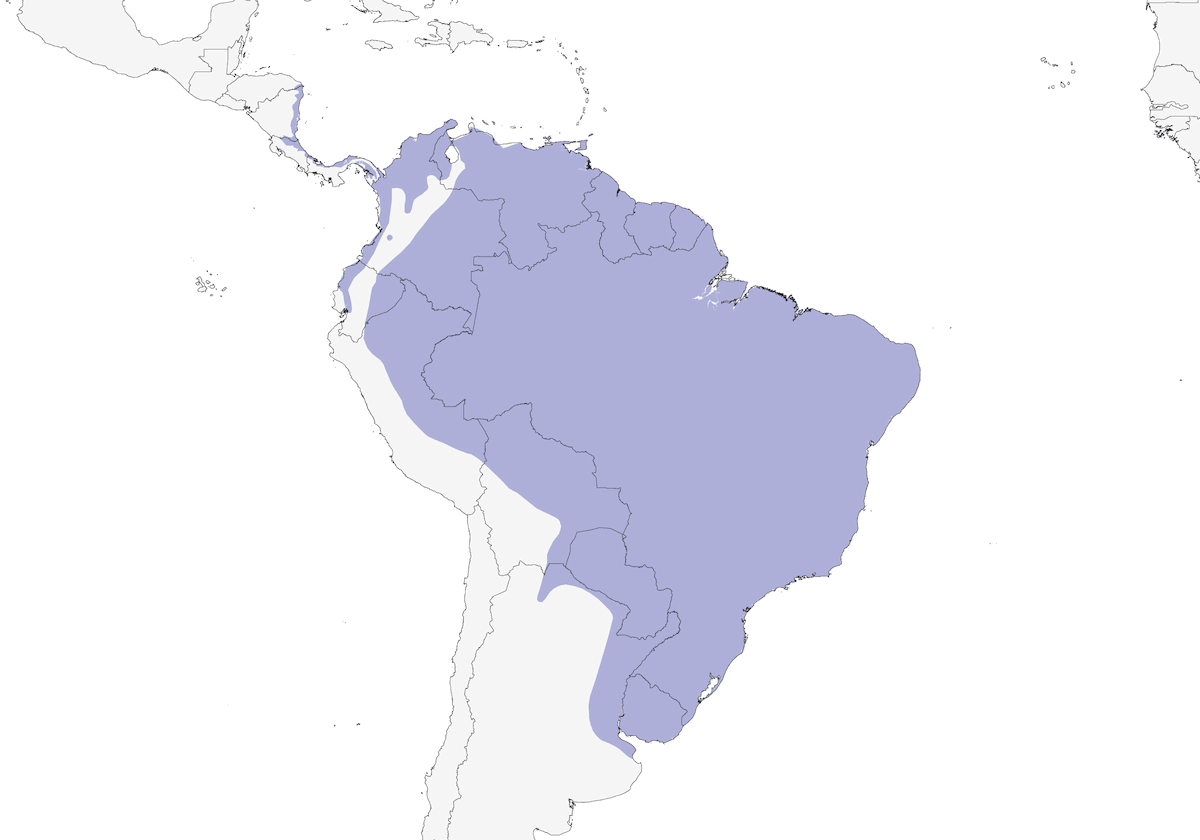 Garza Tigre Rojiza, Distribución 1