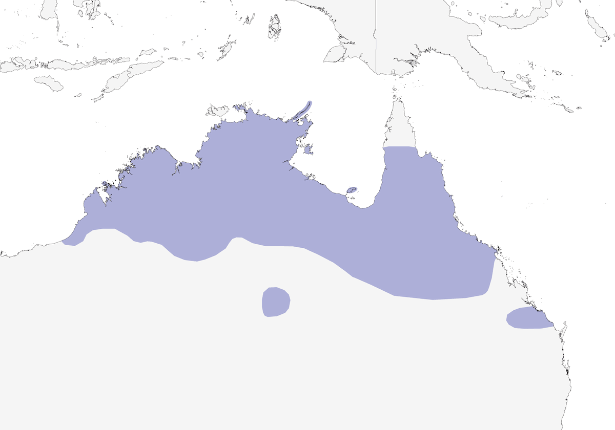 Rufous-throated Honeyeater, Distribution 1