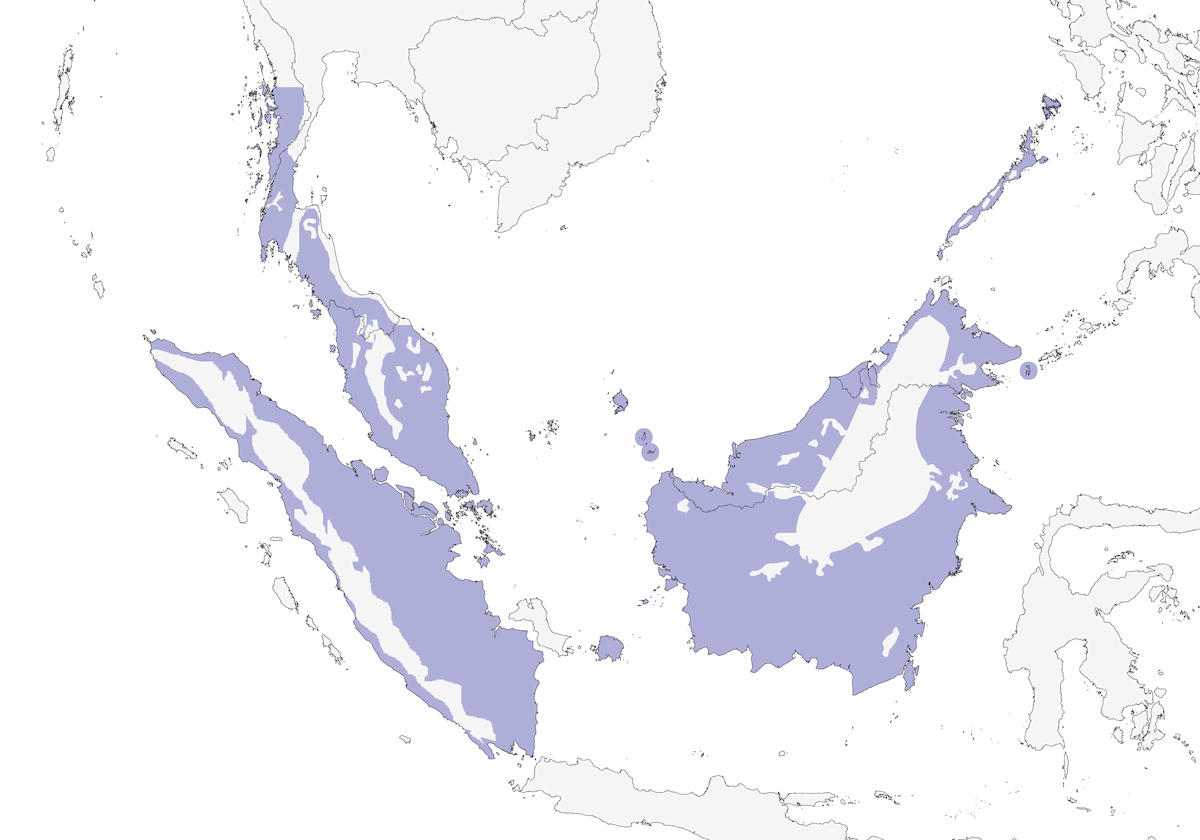 Rufous-tailed Tailorbird, Distribution 1