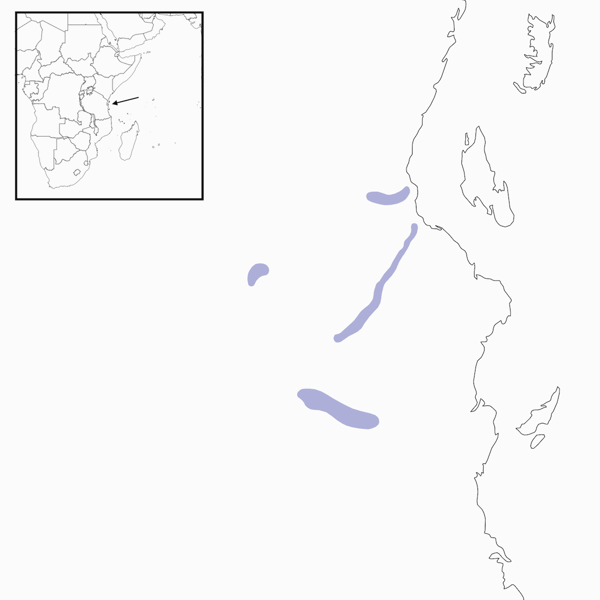 Ruvu Weaver, Distribution 1