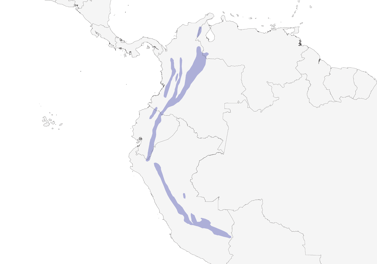 Colaespina Alirrufa, Distribución 1