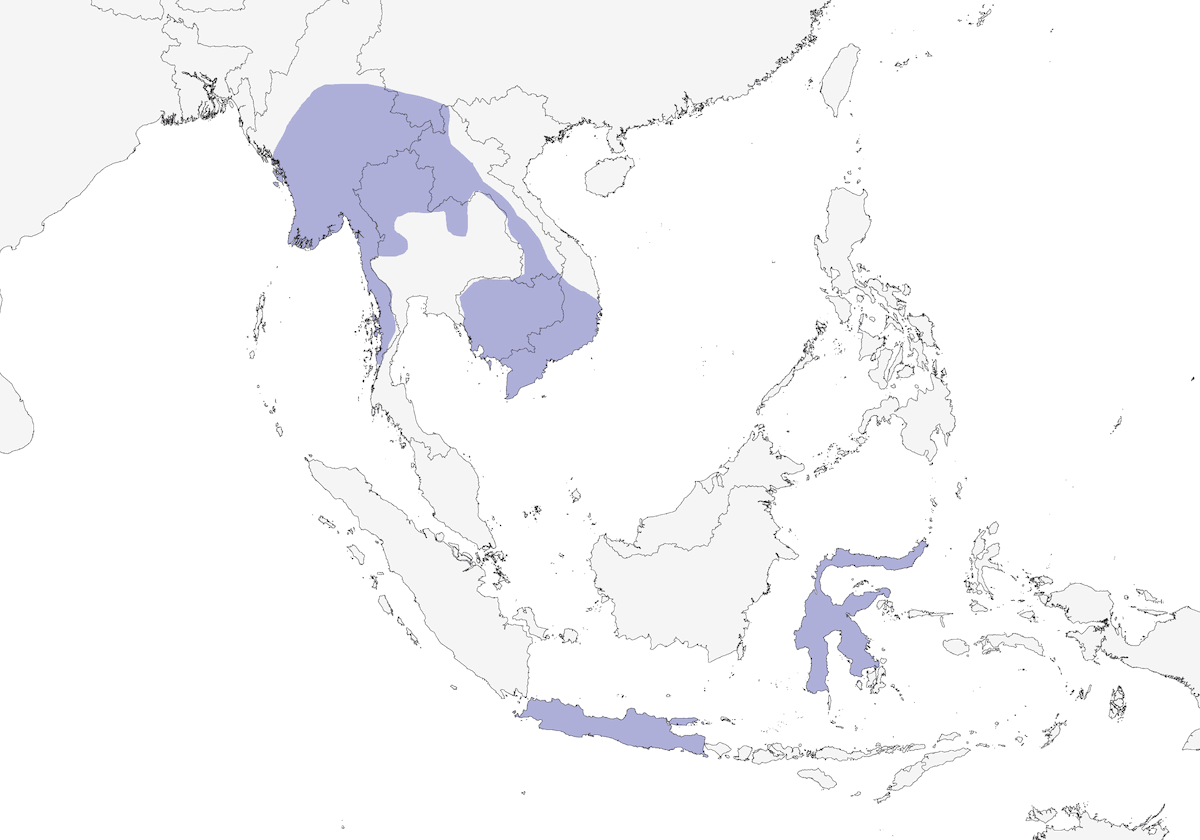 Rufous-winged Buzzard, Distribution 1